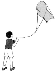 Kite flying at West Hill House B&B