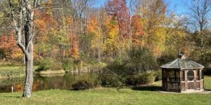 West Hill House B&B large pond in the fall - Gazebo