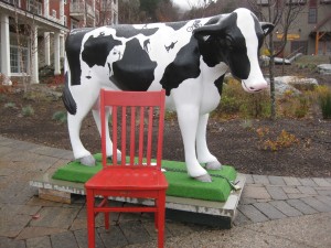 The Red Chair visits with the Sugarbush cow