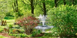 Garden Fountain in the Spring