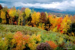 West Hill Bed and Breakfast is at the center of your Vermont Fall Foliage Vacation