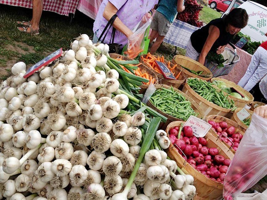 Waitsfield Farmers Market