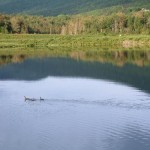blueberry-lake-by-carmeta-french