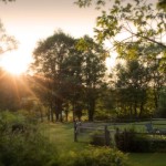 Dawn light over the gardens