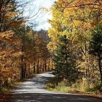 fall-colors-9