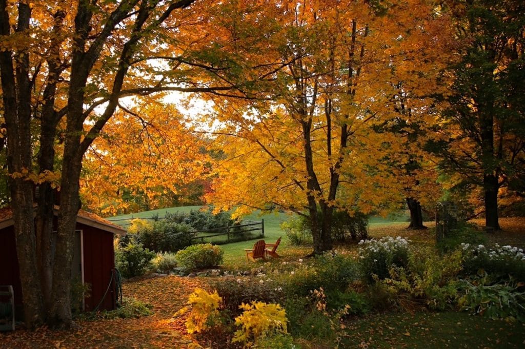 Vermont Fall Foliage