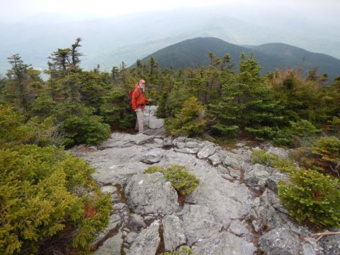 Mt. Abraham hiker admires nature