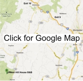 Google Map image