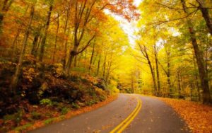 Vermont Scenery in Fall on a tree lined road 