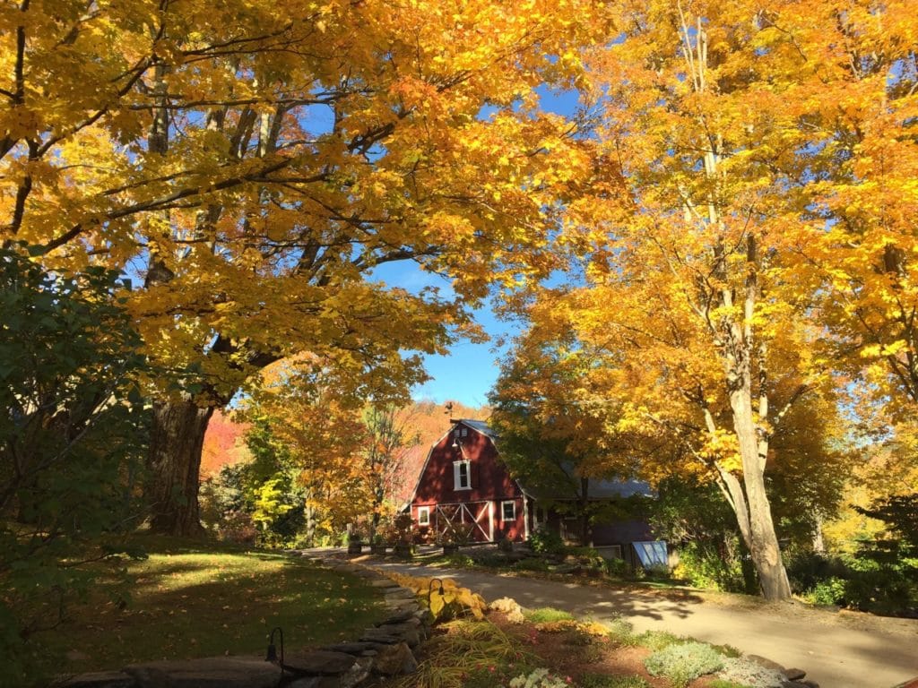 Vermont Fall foliage