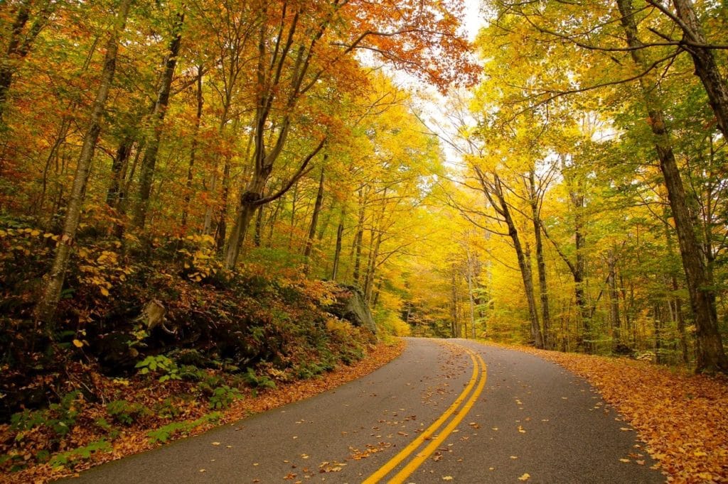 Vermont fall Foliage