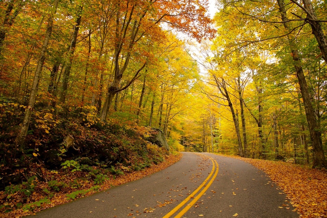 Vermont Fall Foliage Getaway