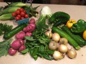 Fall vegetables from CSA