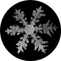 snowflake photograph