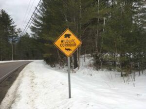 Wildlife Corridor sign on Brook Road in Warren, VT.