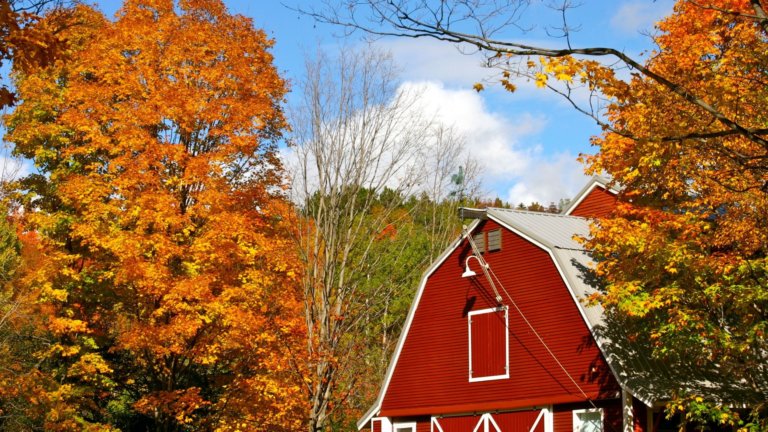 Vermont Fall at West Hill House B&B Handsome Red Barn