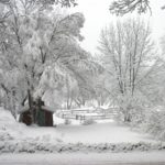 Winter in Vermont Just Keeps Getting More Magical! - Heavy snow on the tree branches