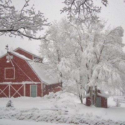 Handsome Red Barn in snow