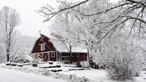 The Handsome Red Barn in winter holiday snow