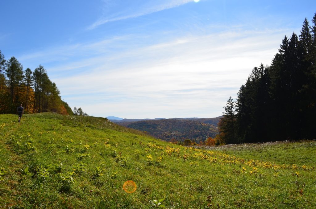 Hike the Vermont Long Trail Near Our B&B