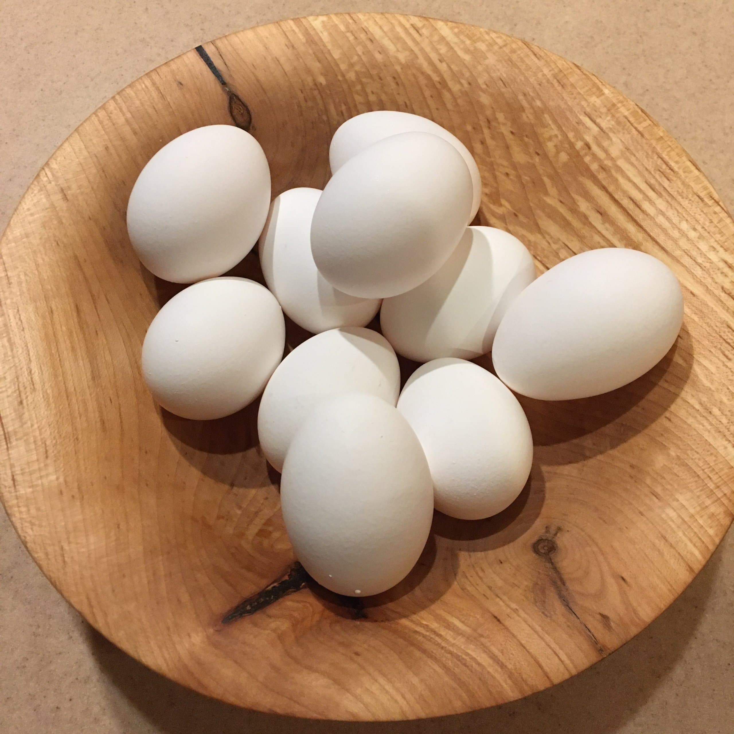 showing eggs in shells