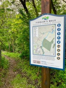 One of the many Mad River Path trail-head signs