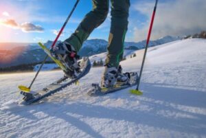  Snowshoeing the Catamount Trail