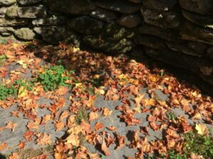 Fall in Vermont brings maple leaves crunching beneath your feet.