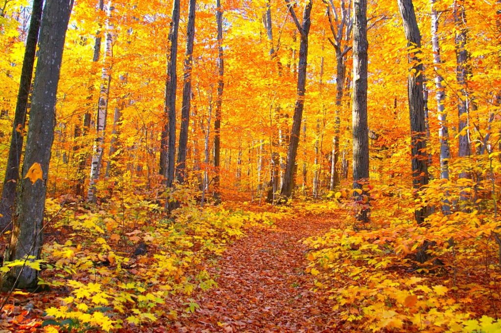 10 Things to do in Vermont This Fall