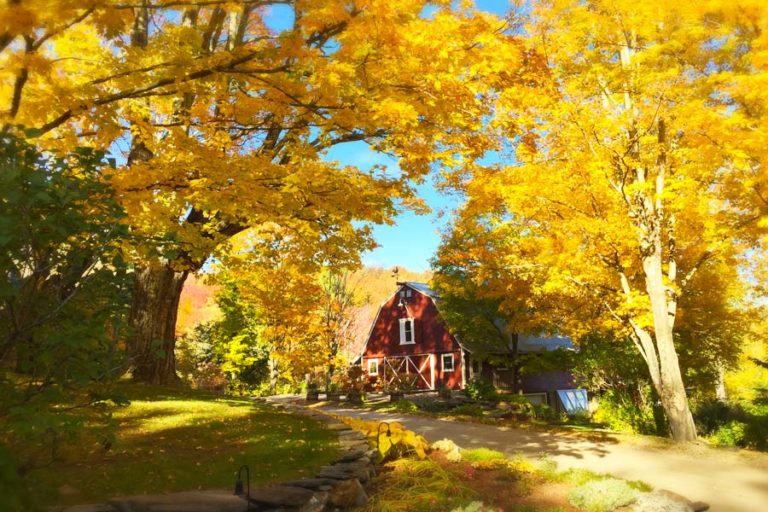 Our 10 Favorite Fun Things To Do In Vermont This Fall