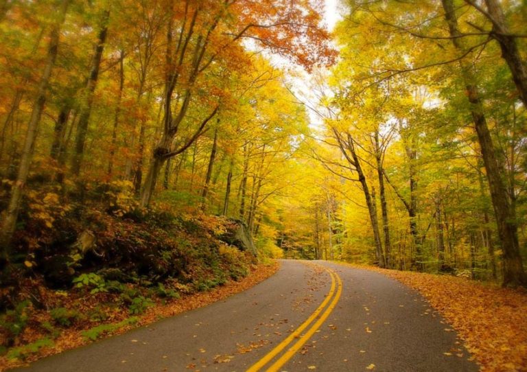 8 STUNNING Scenic Drives in Vermont Near Our Vermont B&B