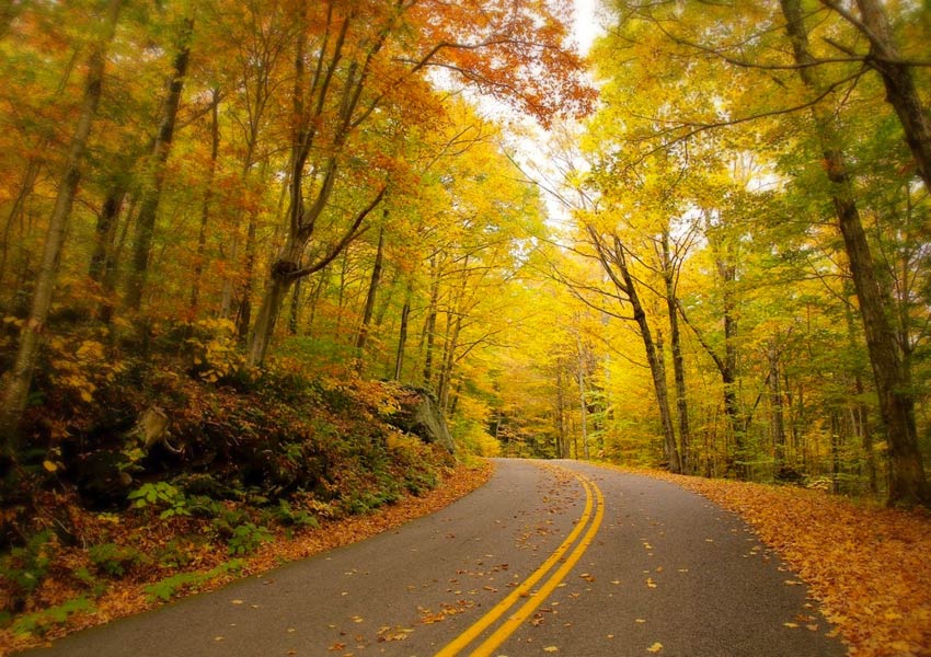 Scenic Drives in Vermont Near our Bed and Breakfast