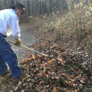 Last leaf raking of the fall.