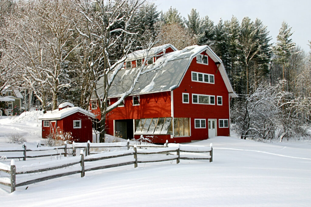 Our Bed and Breakfast in Vermont is the perfect place to stay when dog sledding in Vermont.
