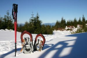 Snowshoeing is a popular winter pastime in the wooded hillsides near our Bed and Breakfast in Vermont.