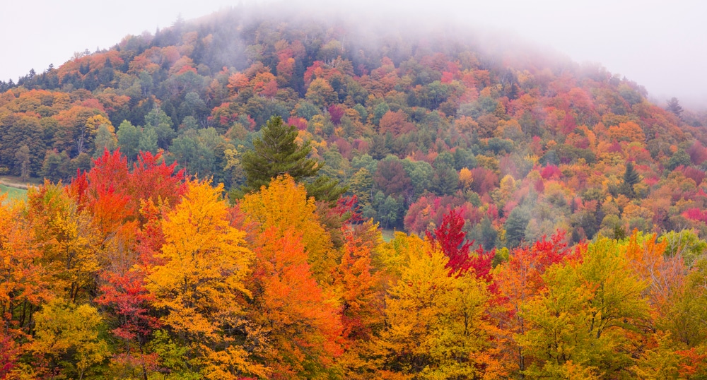 Scenic Vermont Fall Foliage Drives