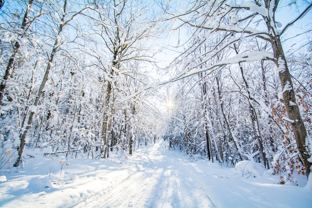 Catamount Trail 