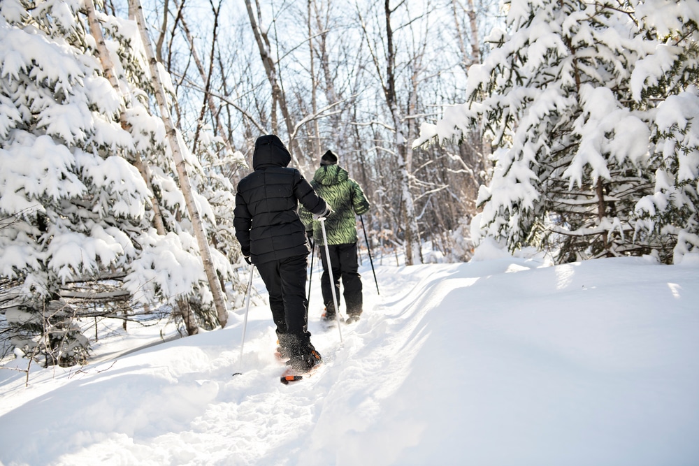 Catamount Trail