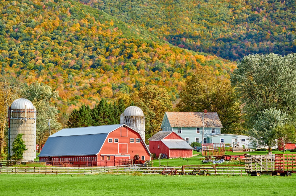 vermont cheese farm tour