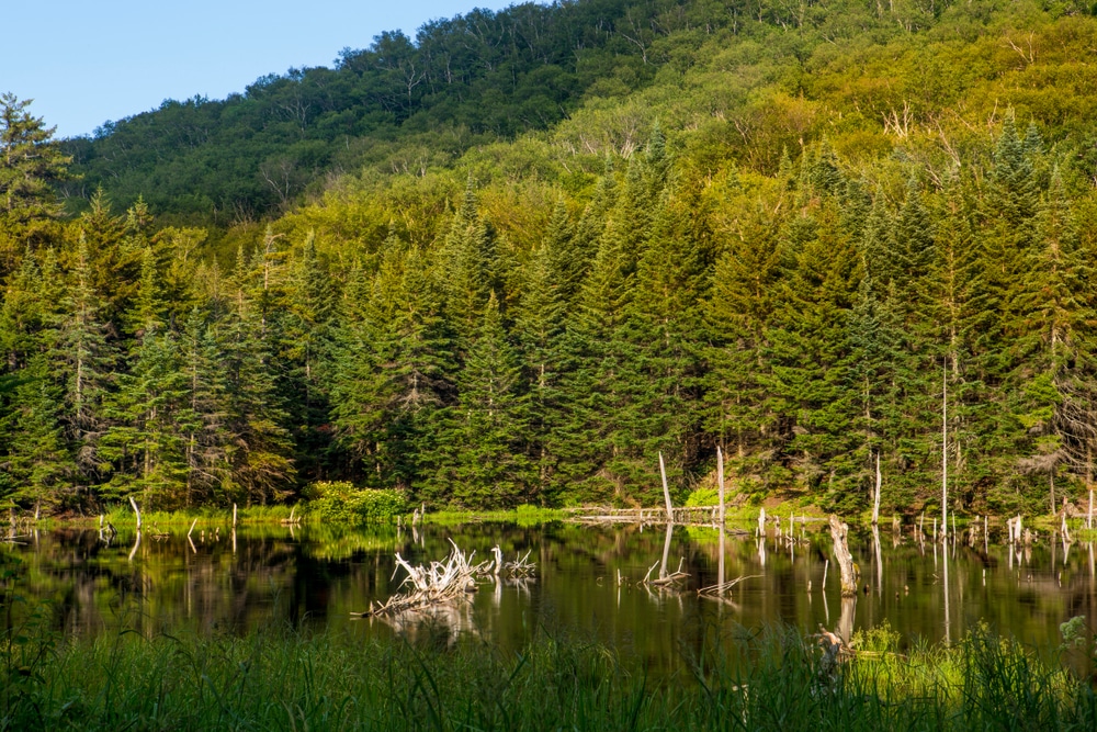 State Parks in Vermont