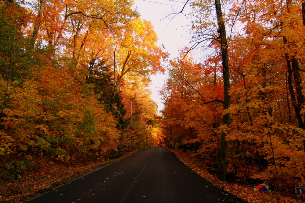 Branbury State Park