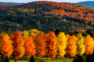 Vermont Fall Colors
