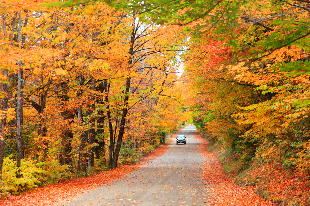 covered bridges in Vermont