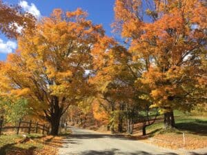 The road to our Vermont Bed and Breakfast awash in Vermont fall foliage