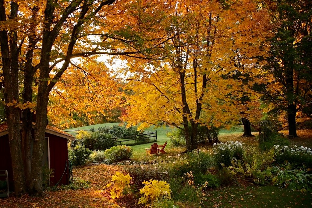 Fall in Vermont, beautiful fall colors at our bed and breakfast in Warren