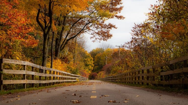 Vermont Bike Trails are some of the most beautiful in the country. Visit our bed and breakfast this year!