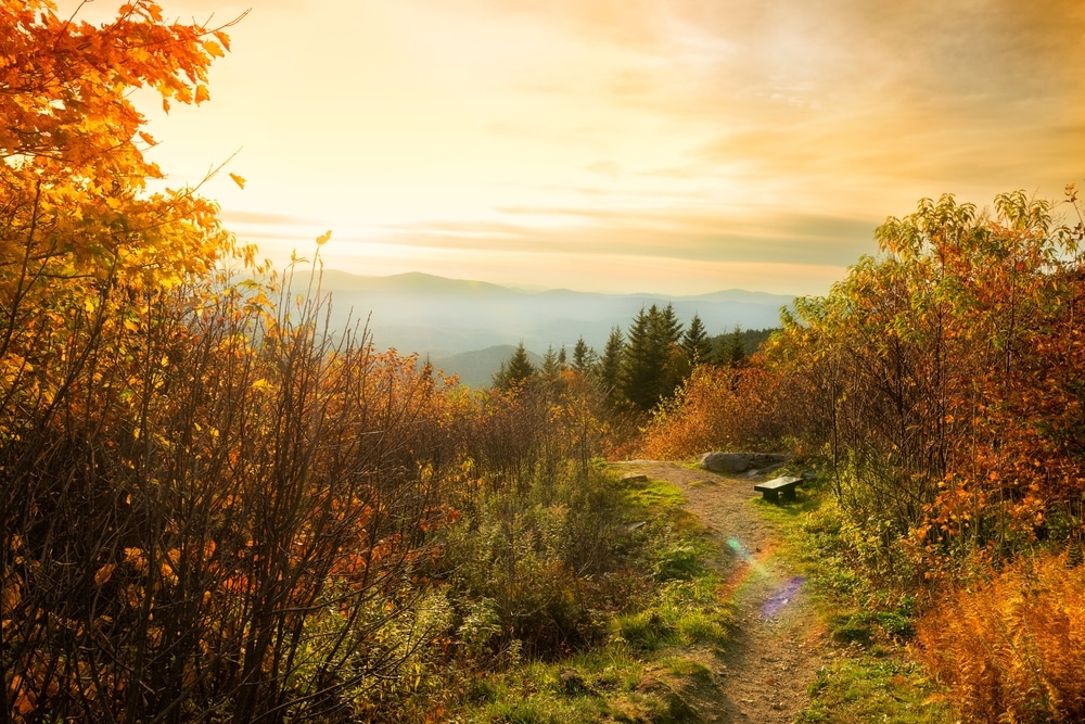 The best Hikes in Vermont for fall foliage near our Waitsfield, Vermont Inn