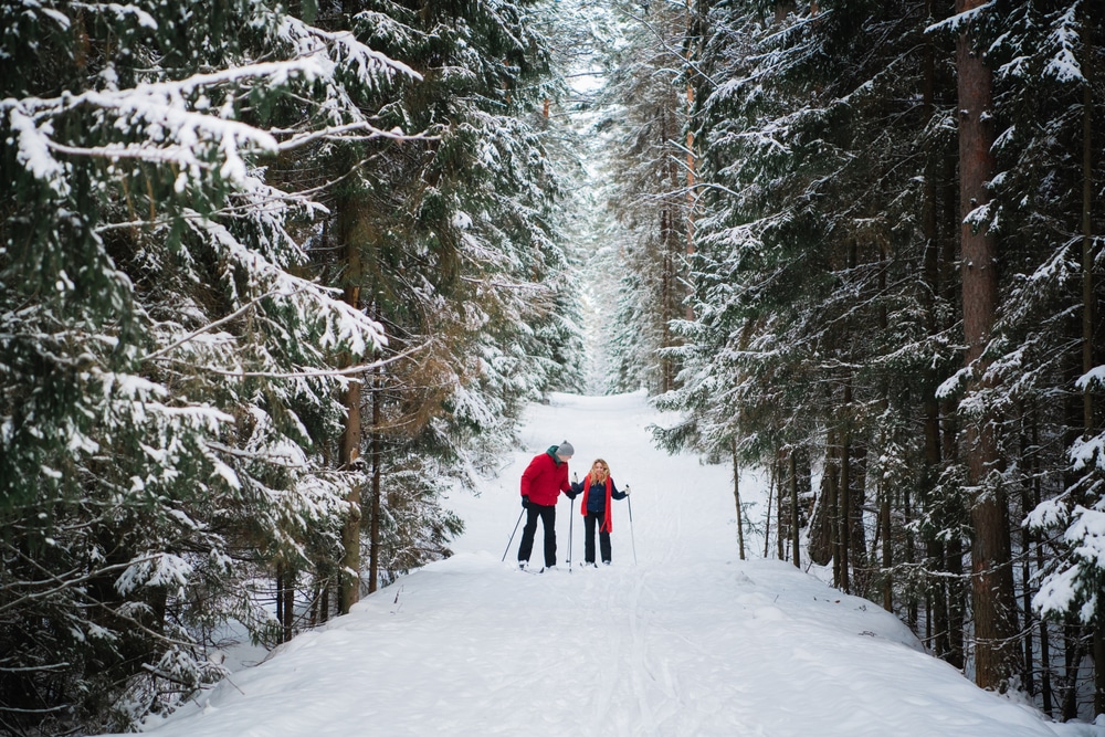 Mad River Glen Ski Resort is one of the best places to ski in Vermont near our bed and breakfast