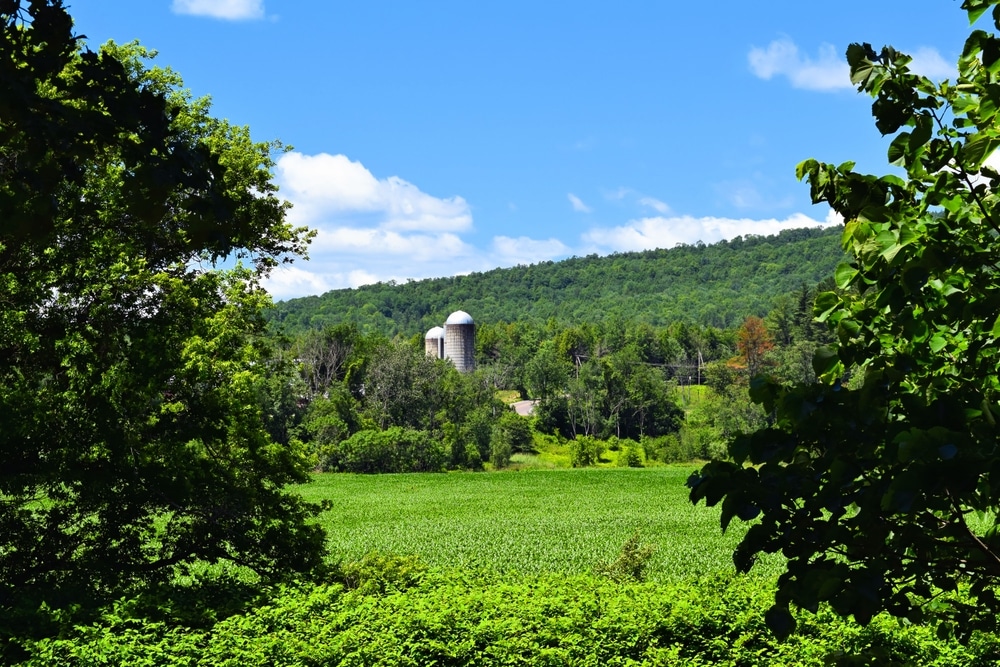 Best Hikes in Vermont: Discover the Mad River Valley This Summer! 4 Best Hikes in Vermont: Discover the Mad River Valley This Summer!