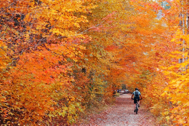 Vermont Fall Foliage